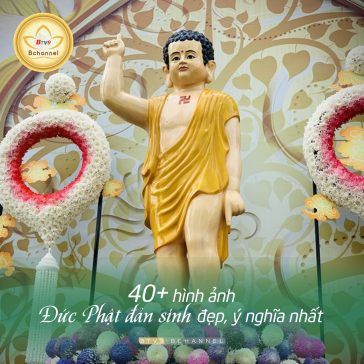 40+ Hình ảnh Phật đản sinh đẹp và ý nghĩa nhất
